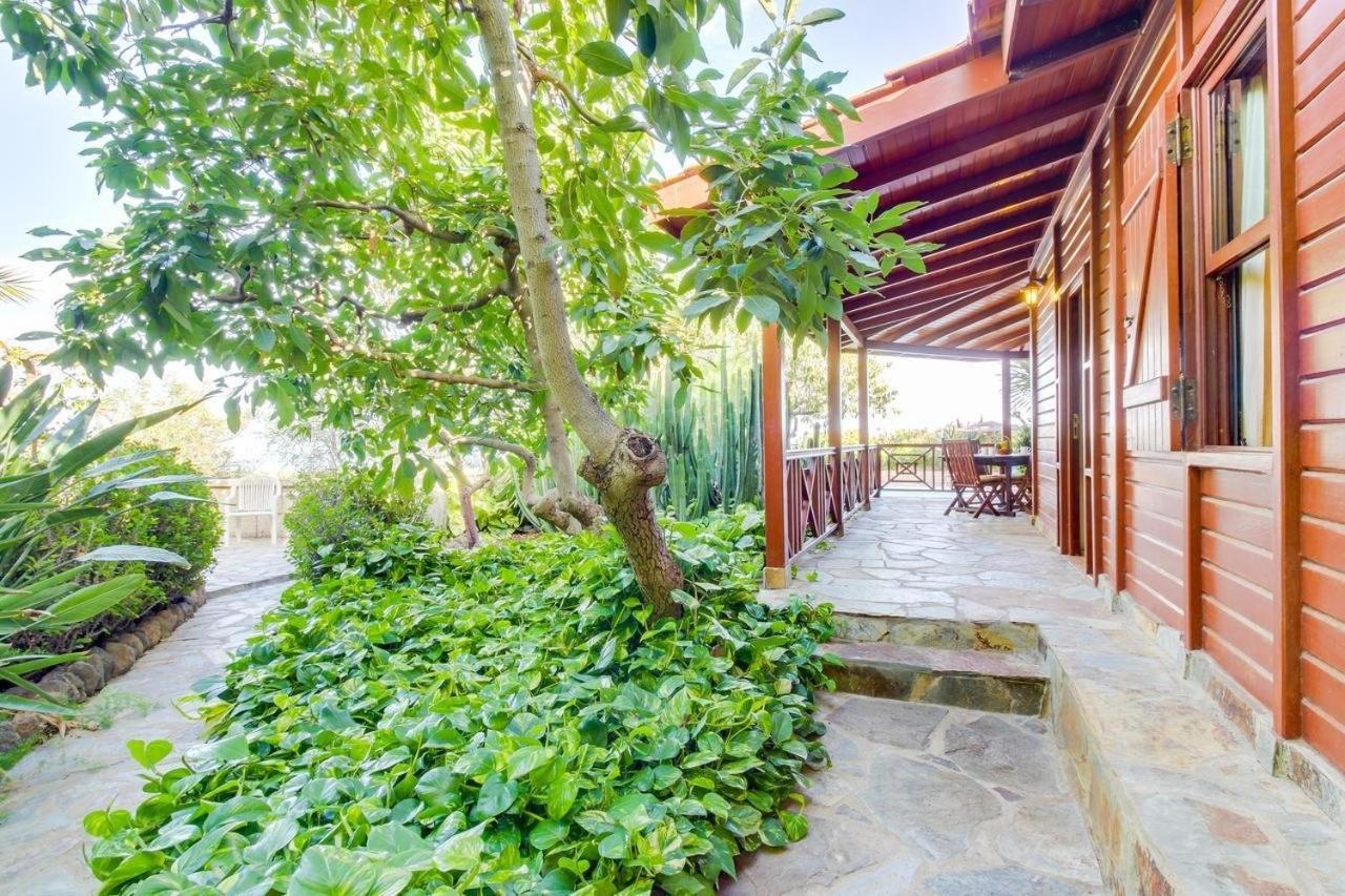 Villa Mimosa Арафо Экстерьер фото